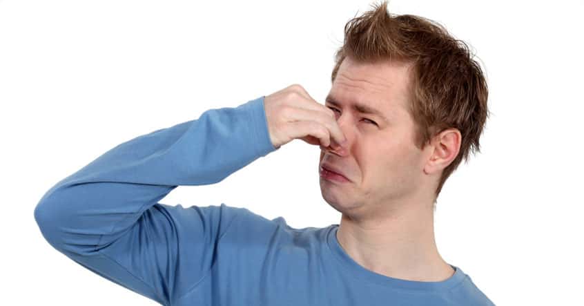 Flight Attendants Describe Their Worst Passenger Stories Facts