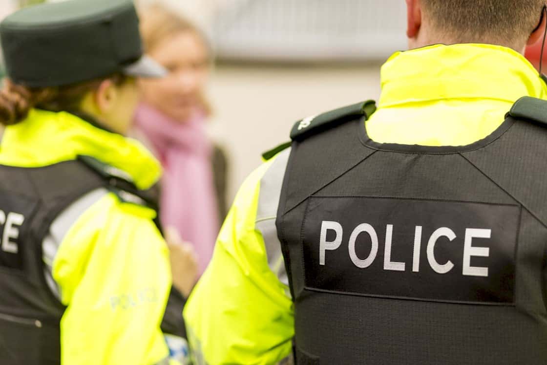 Neighbor From Hell facts