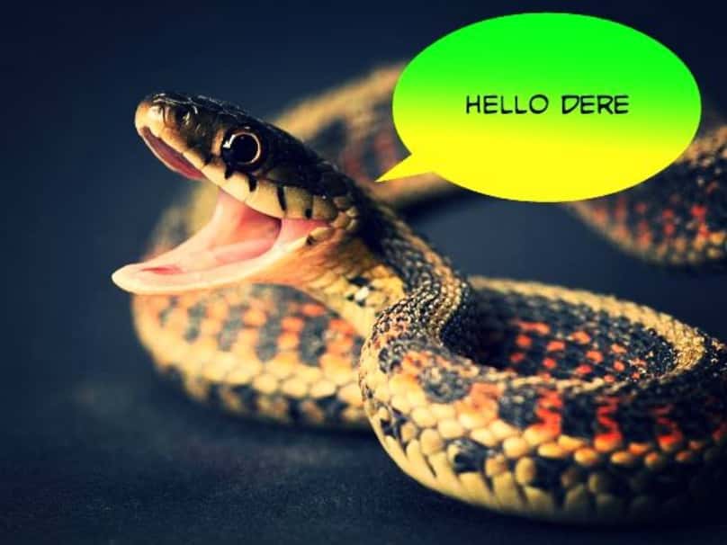 Worst Experiences When Staying in Hotels Facts