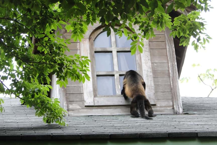 Worst Experiences When Staying in Hotels Facts