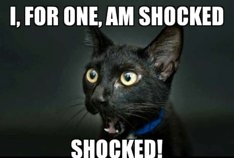 Top Random Fun Facts Factinate