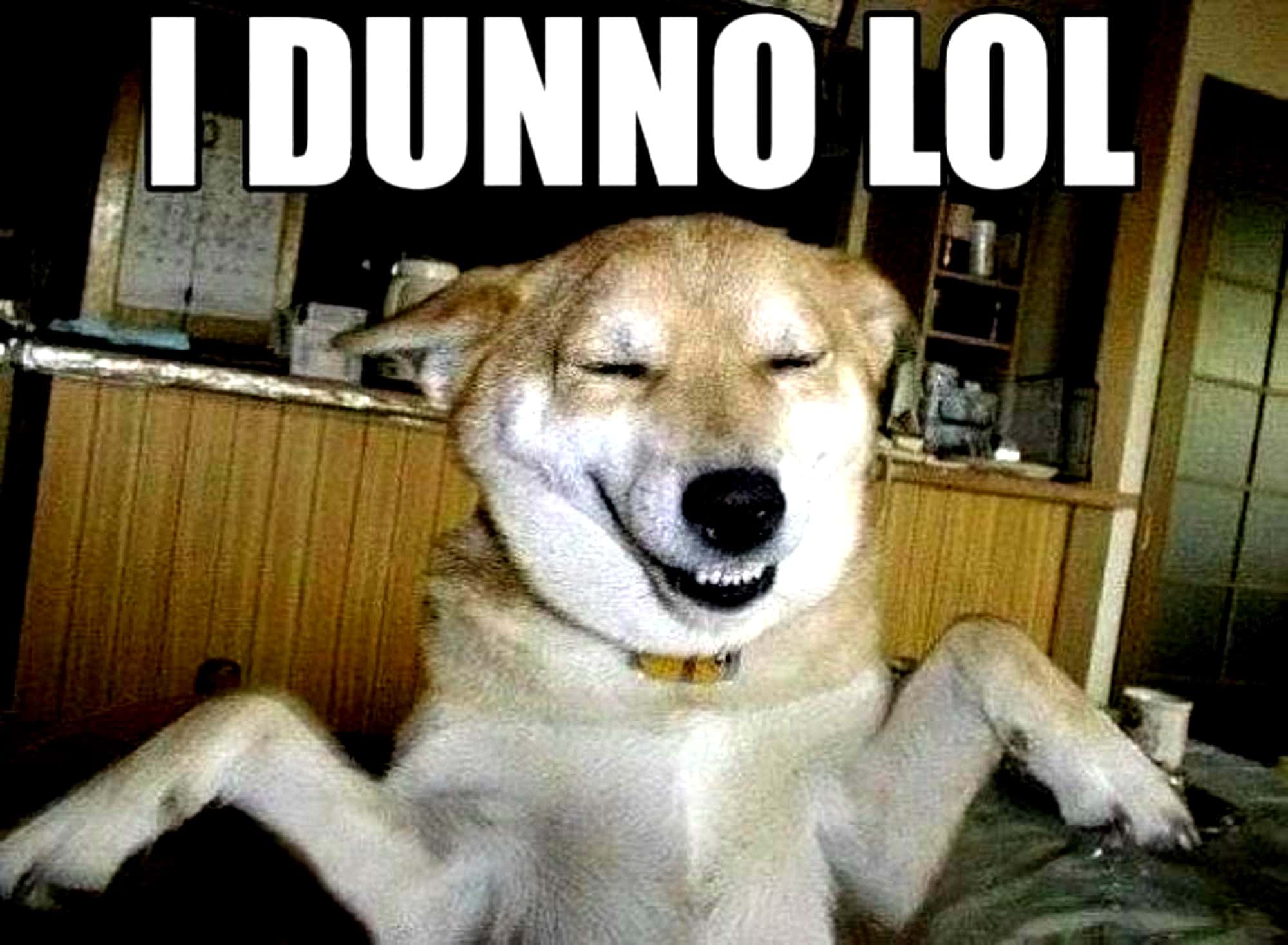 Prom Horror Stories facts