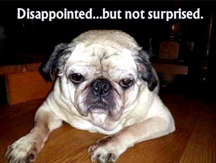 Juiciest Court Intrigues facts