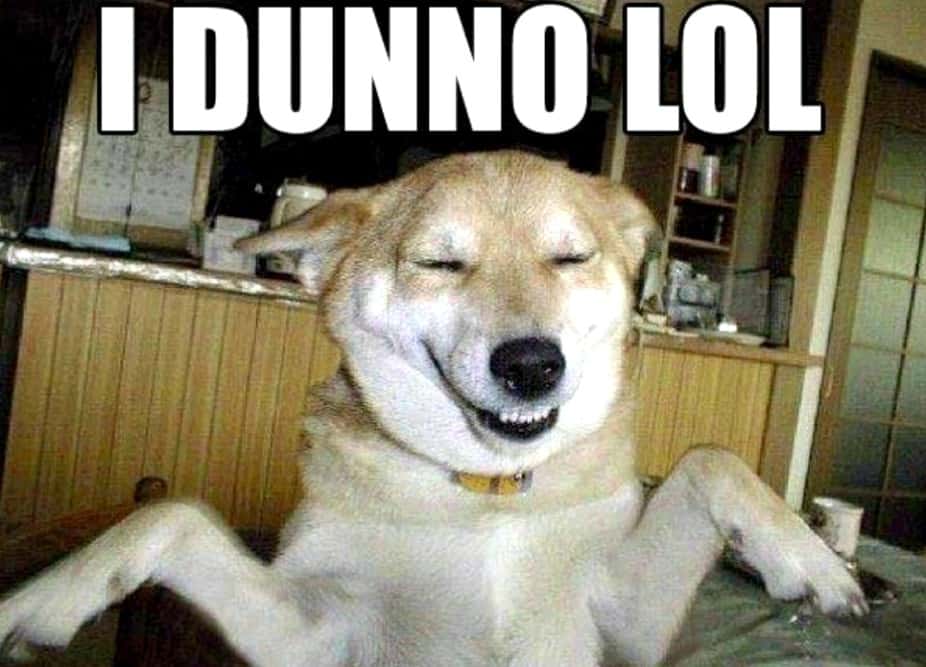 Lies That Snowballed facts 