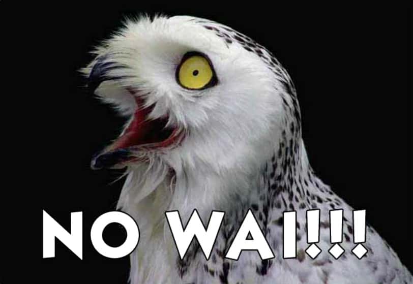 Trashiest Things Parents Do facts