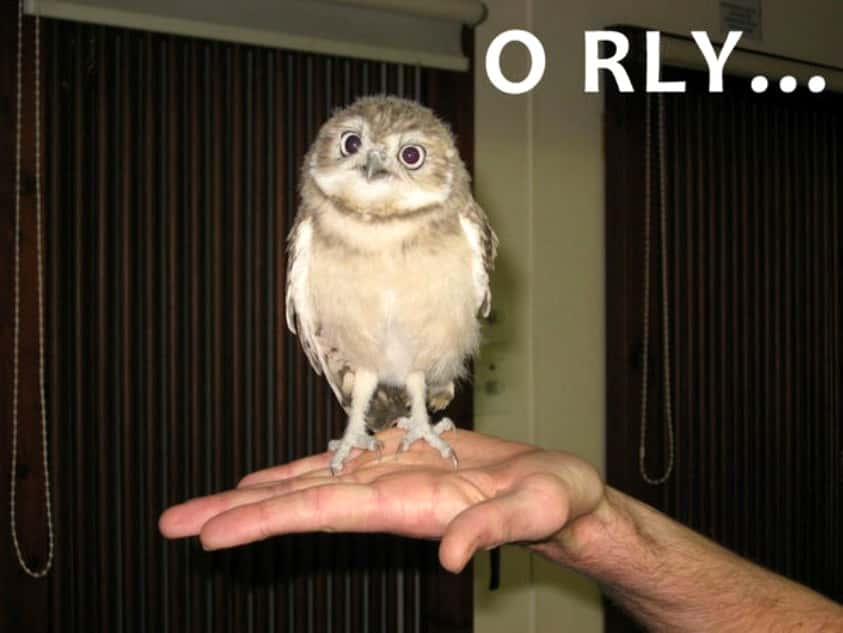 Prom Horror Stories facts