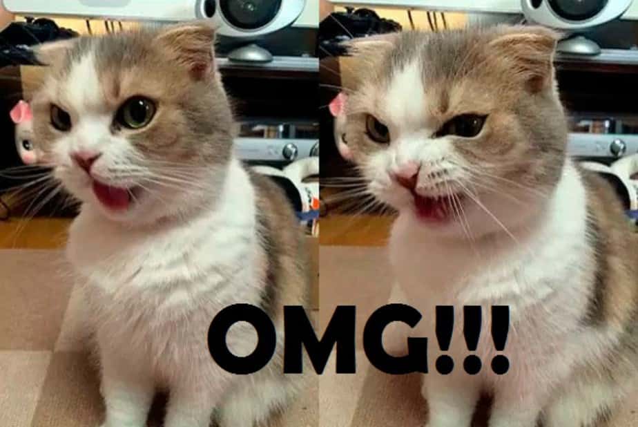 Creepy Imaginary Friends facts 