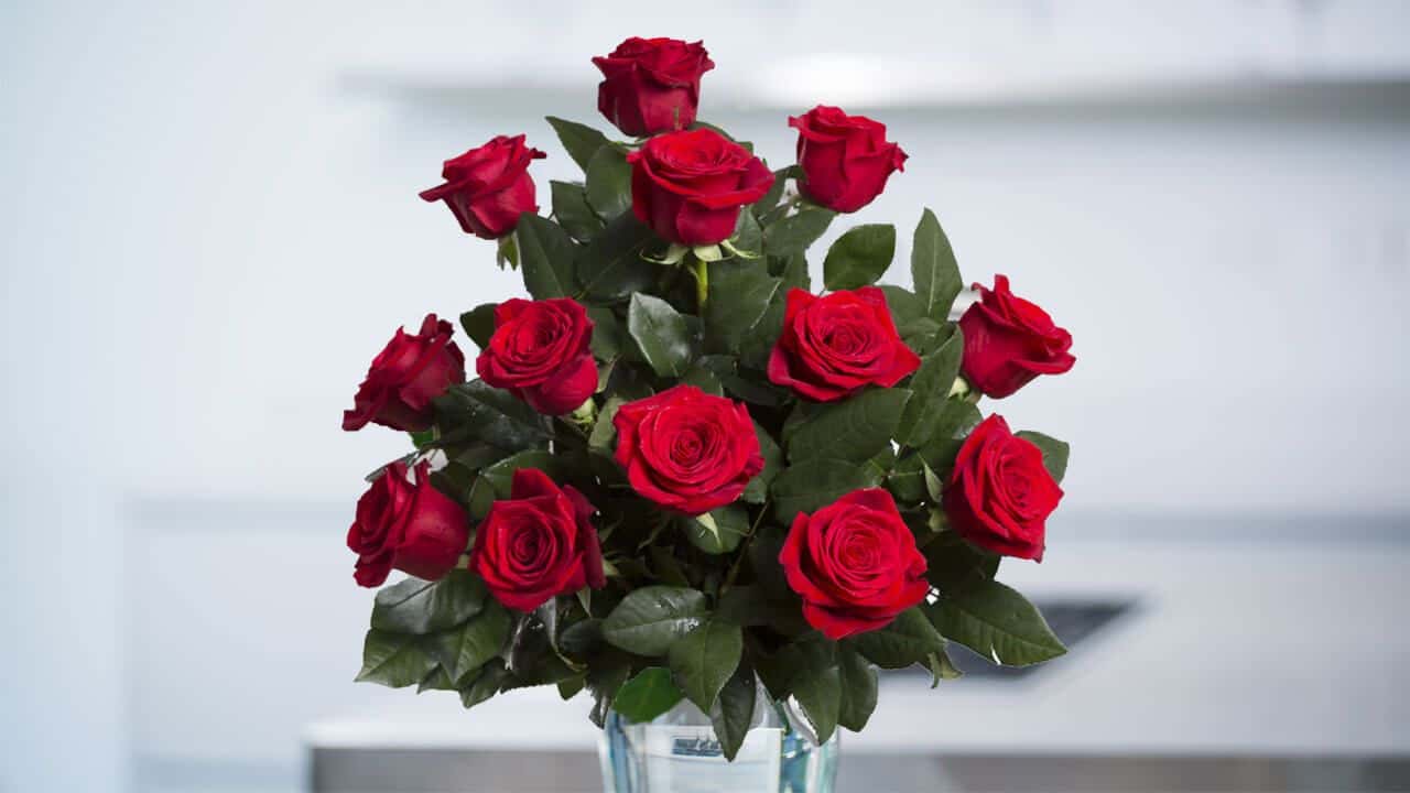 Saddest Airport Goodbyes facts