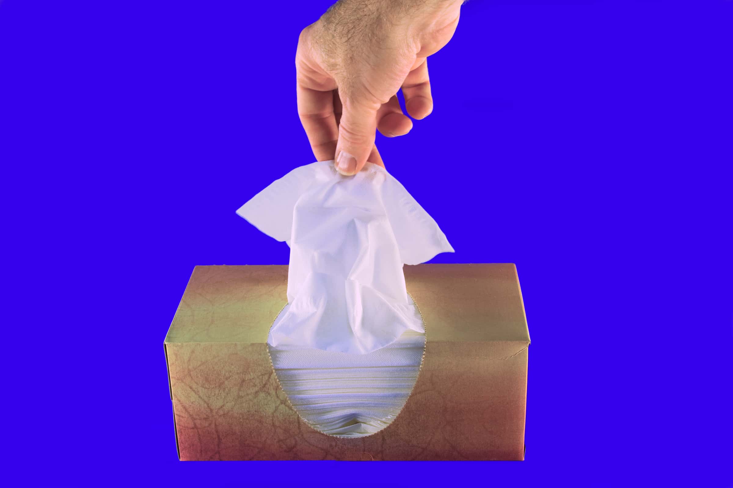 Learn About The Opposite Sex facts