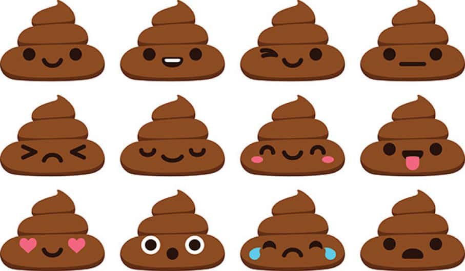 Flight Attendants Describe Their Worst Passenger Stories Facts