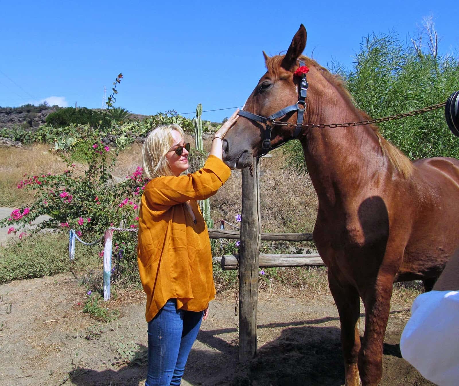 Dakota Johnson Facts