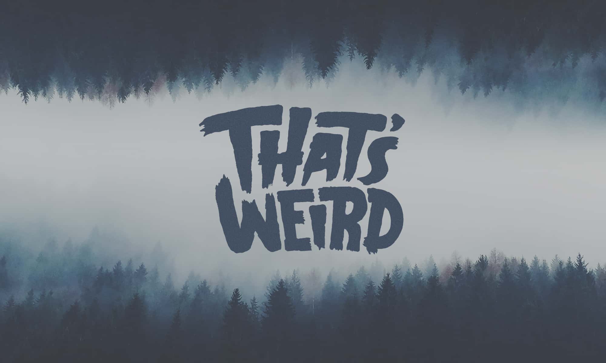 Things in Bodies facts