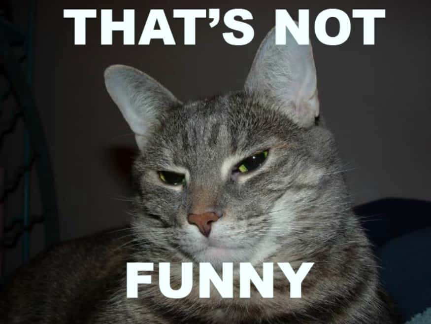 Fired On The Spot facts