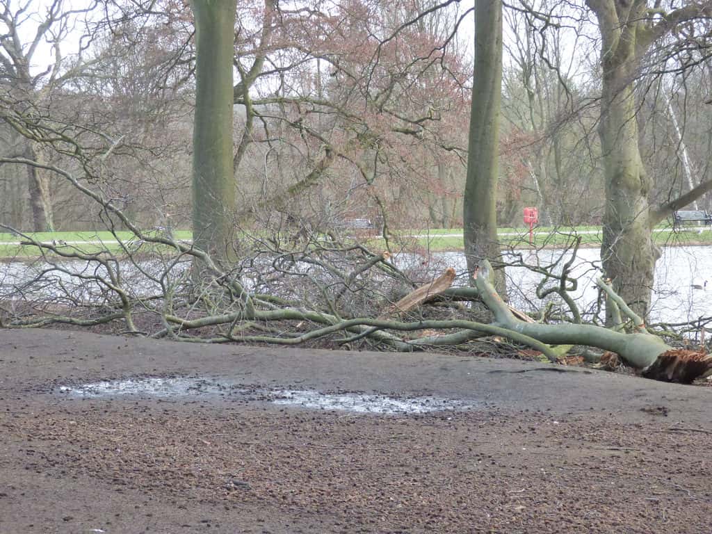 Most Bizarre Moments facts