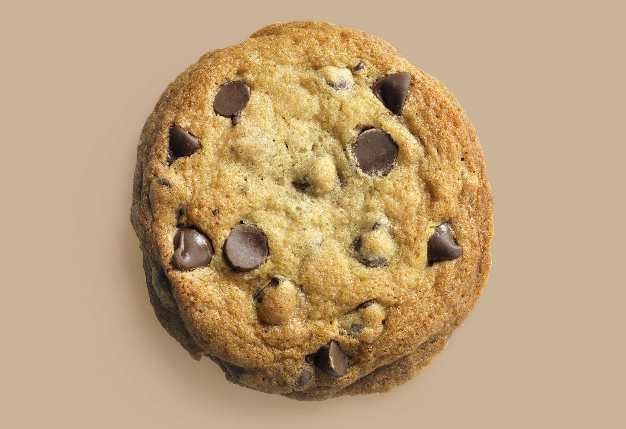 Strangest Find in a Hotel Room facts