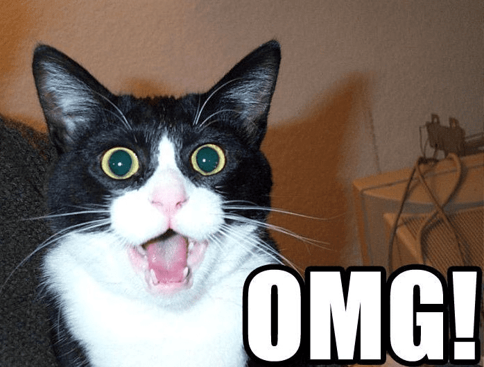 Fired On The Spot facts