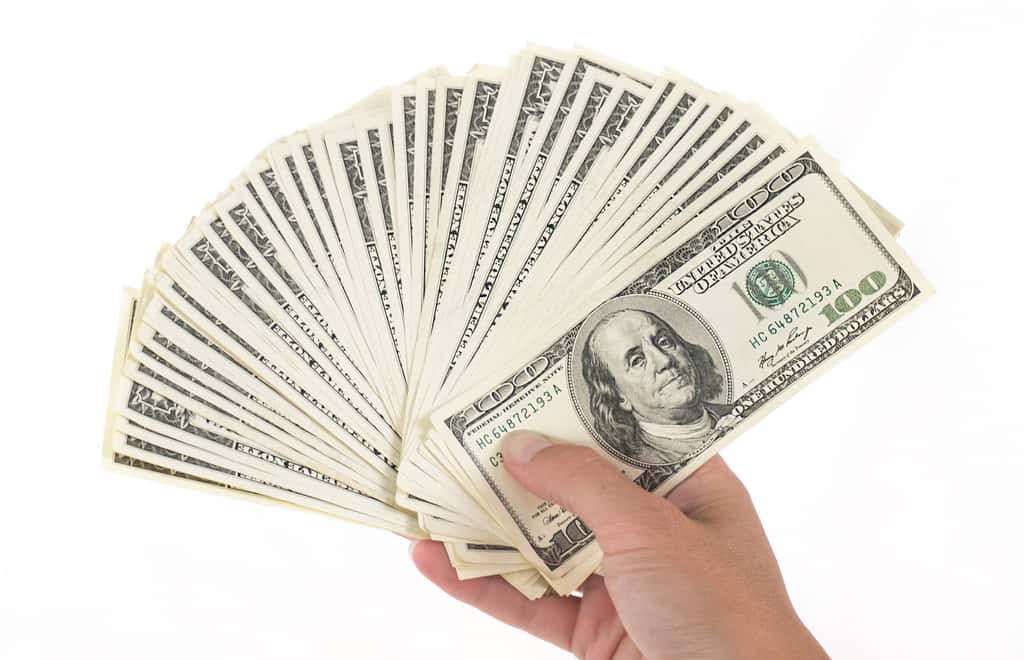 The Halloween Franchise Facts