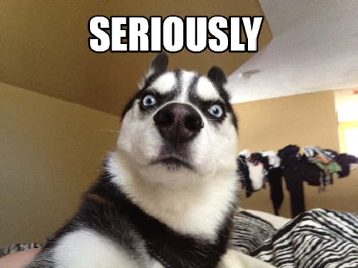 Strangest Find in a Hotel Room facts