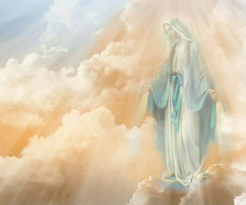 Secret Lives of Nuns facts