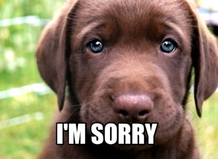  Mistaken Identity facts 