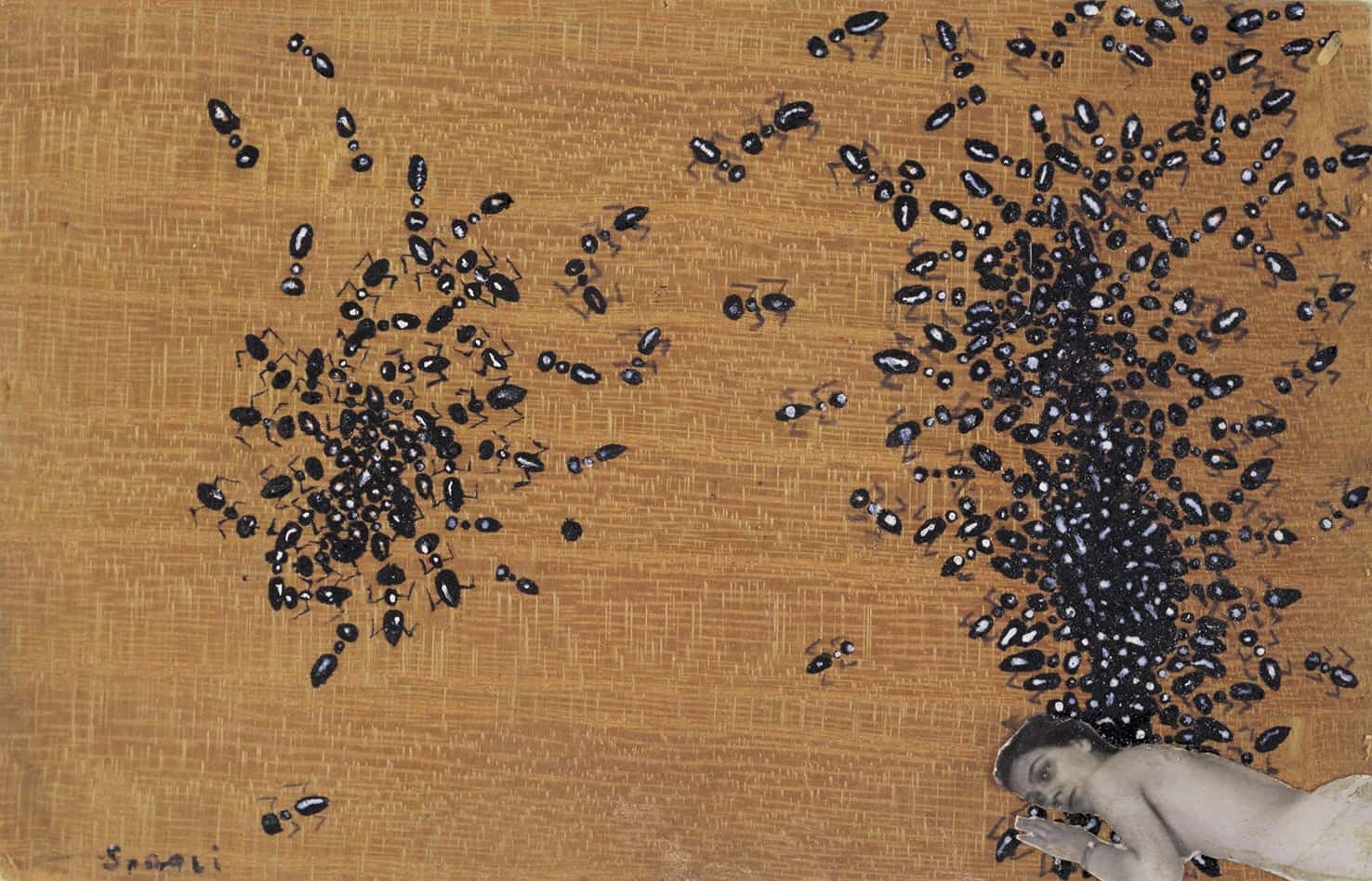 Salvador Dali, The Supreme Surrealist Facts