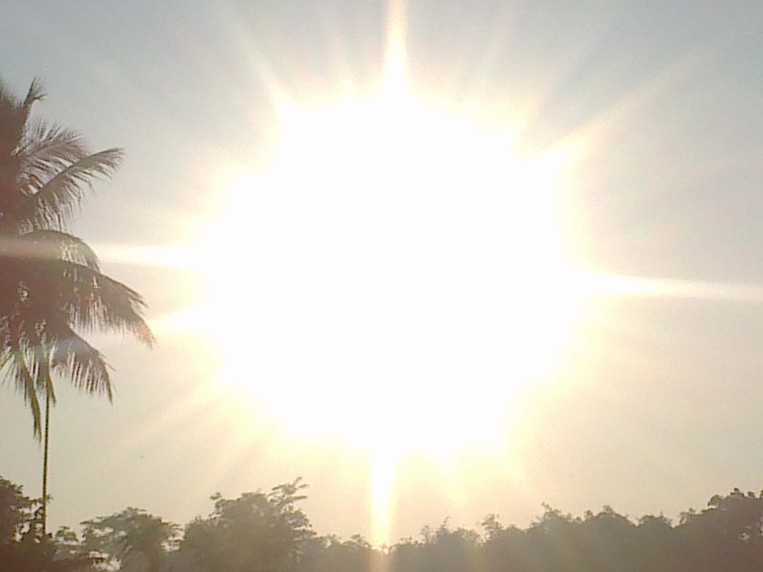 Dumbest Thing Heard facts