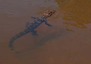 Disneyland Behind the Scenes Facts