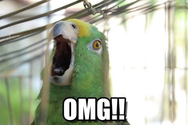 Strangest Find in a Hotel Room facts