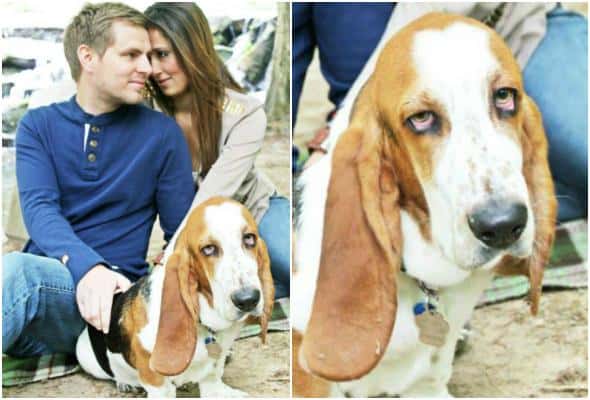 Empress Josephine Facts