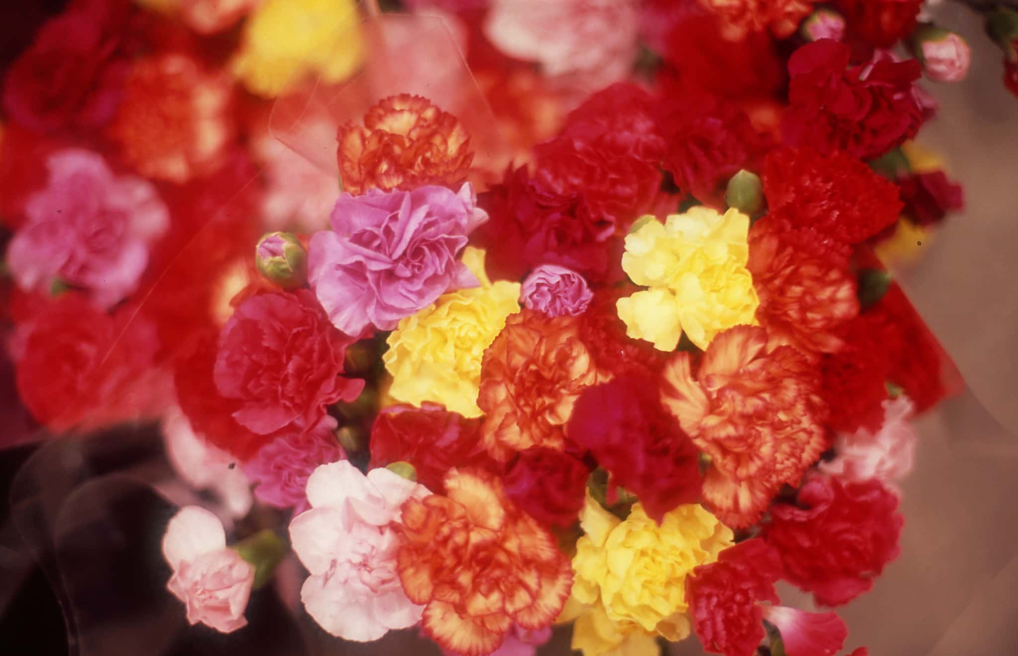 Wallis Simpson Facts