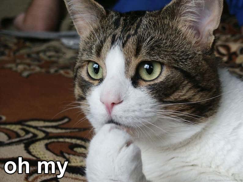 Total Jerks Receiving Instant Karma facts