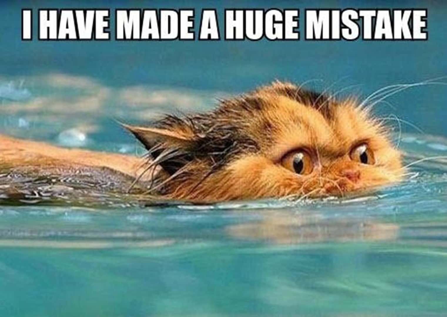 Sir Francis Drake facts