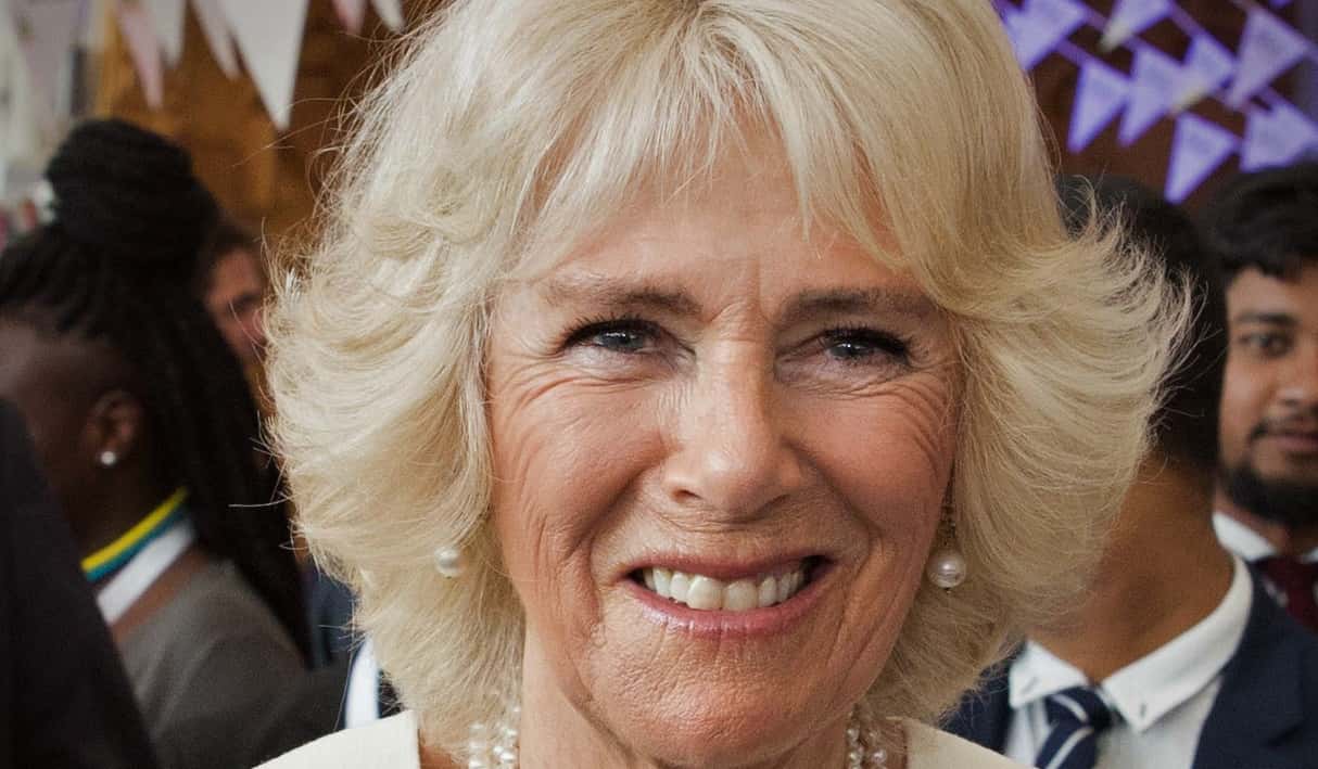 Illegitimate children