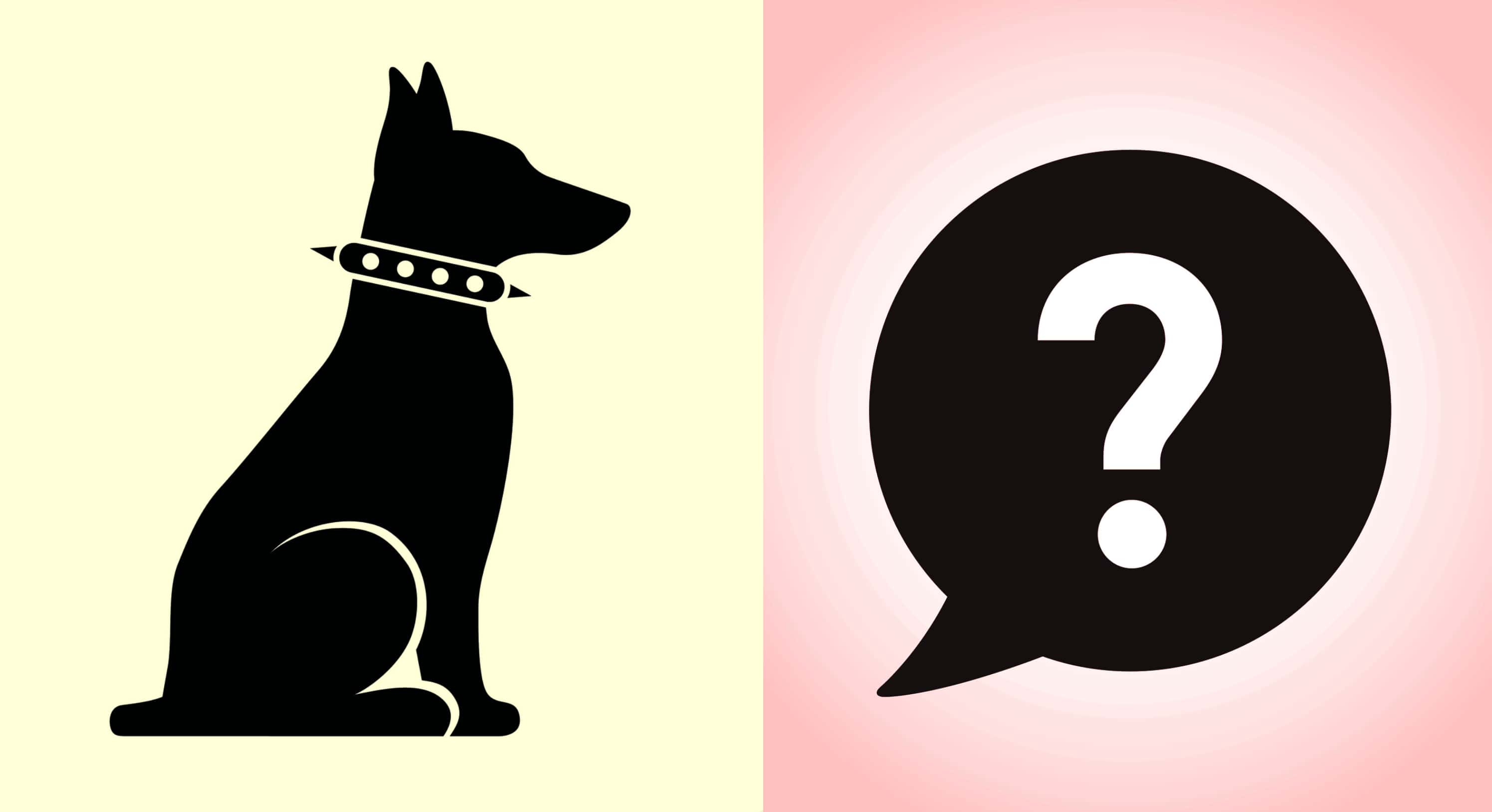 The Halloween Franchise Facts