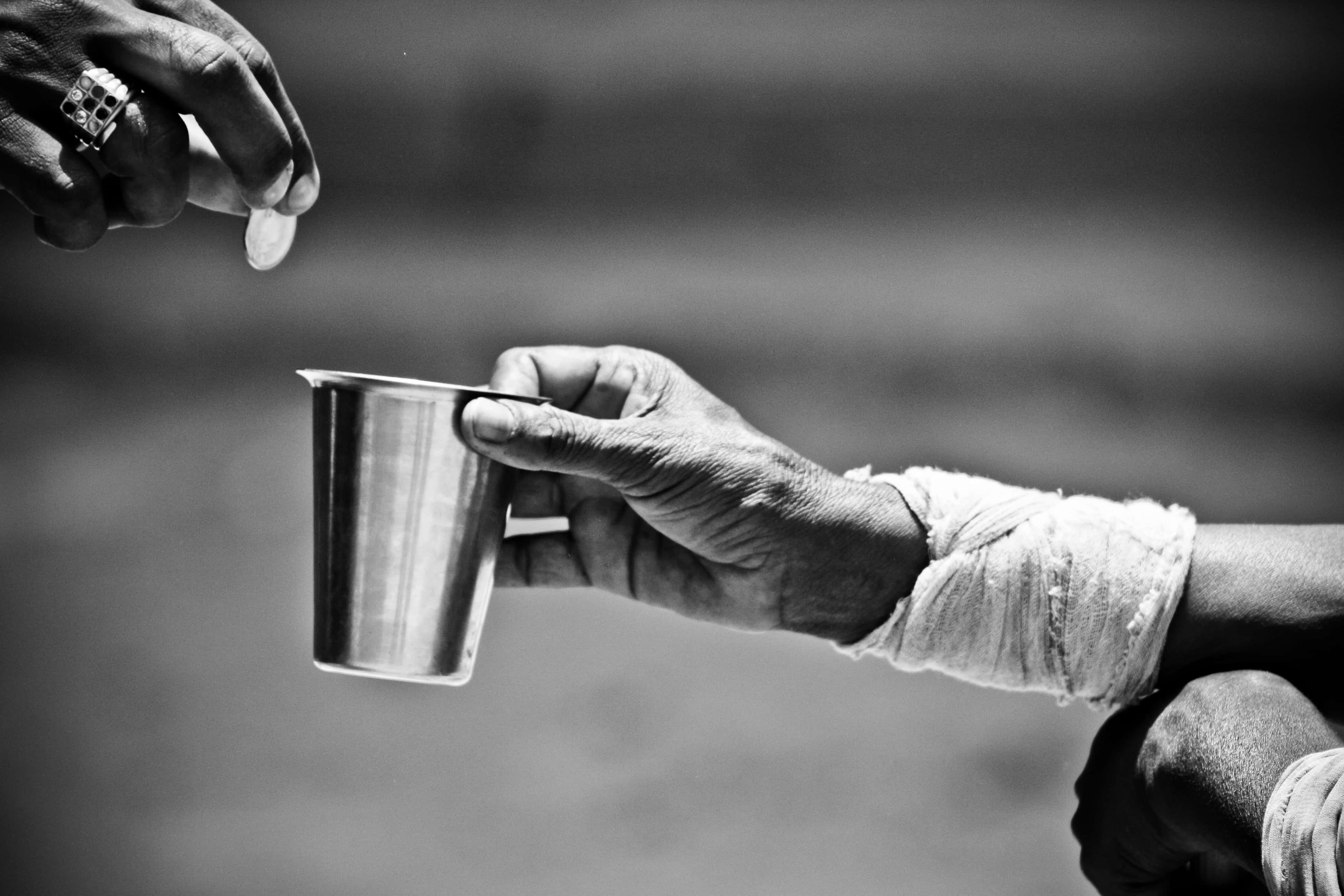 Please, Banerghatta National Park