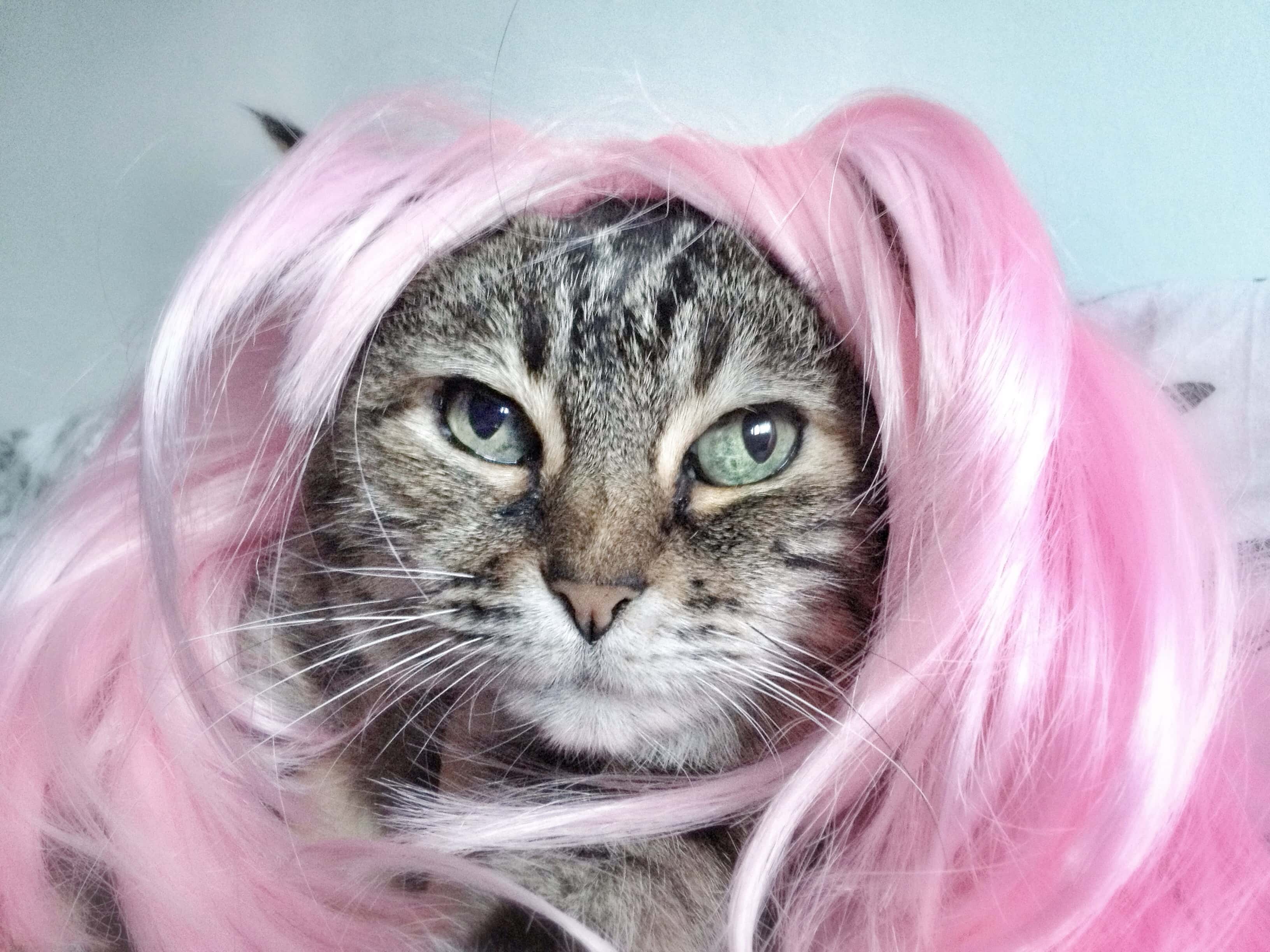 Mary, Queen of Scots facts