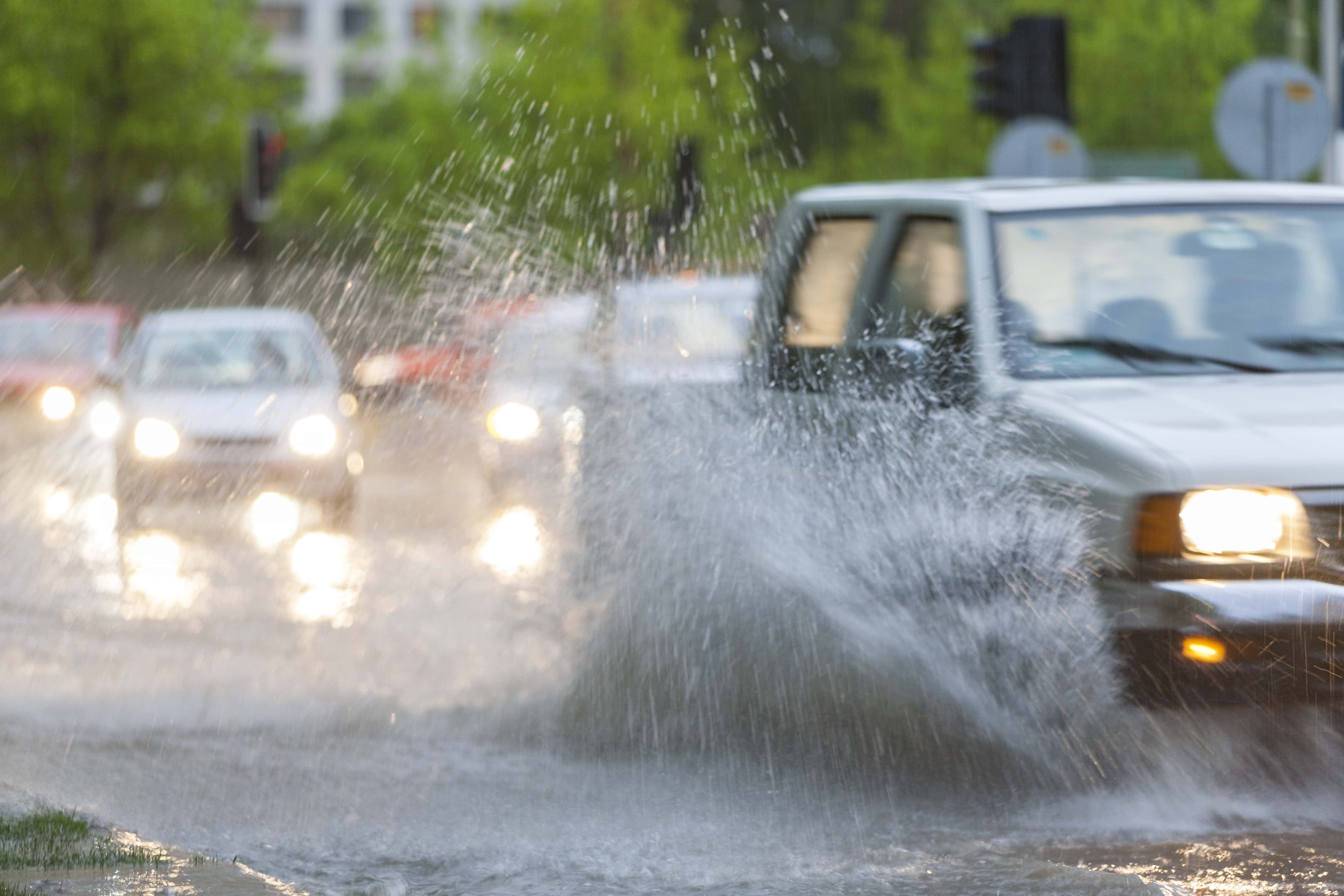 Pleasure in Other People's Pain facts