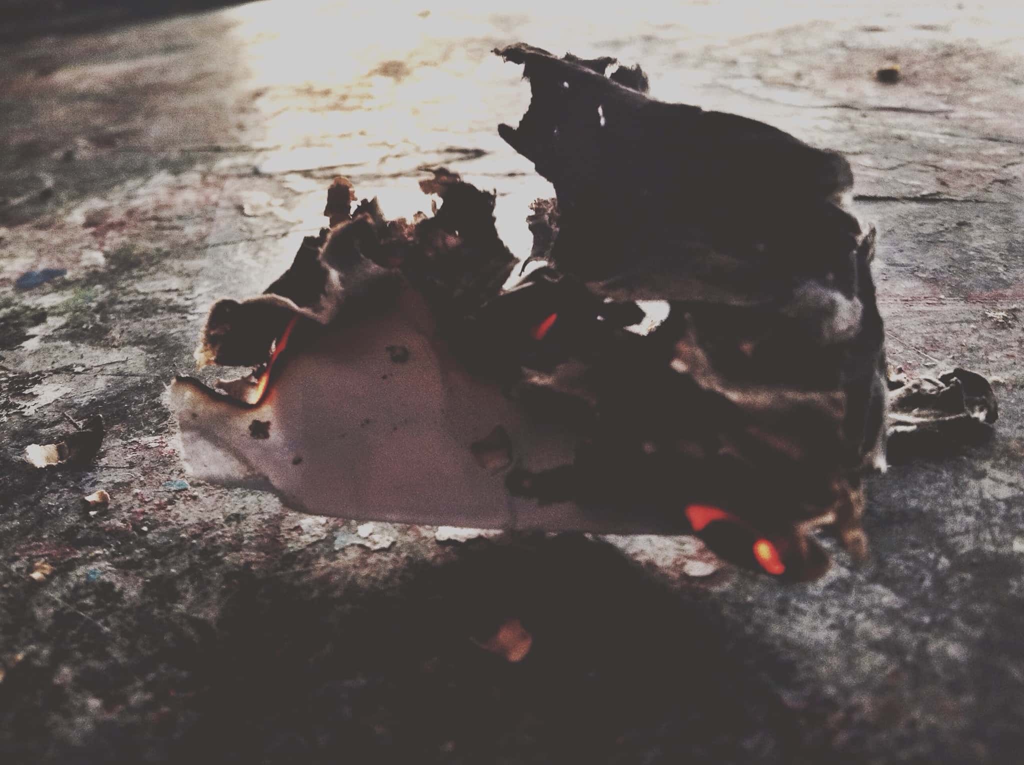 Stupid Thing done facts