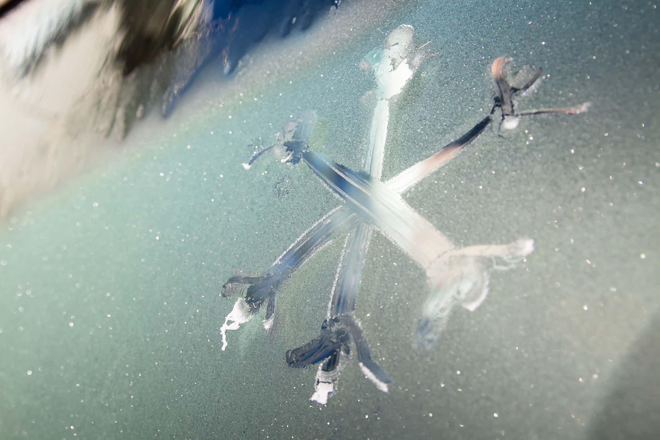 Dumbest Thing Heard facts