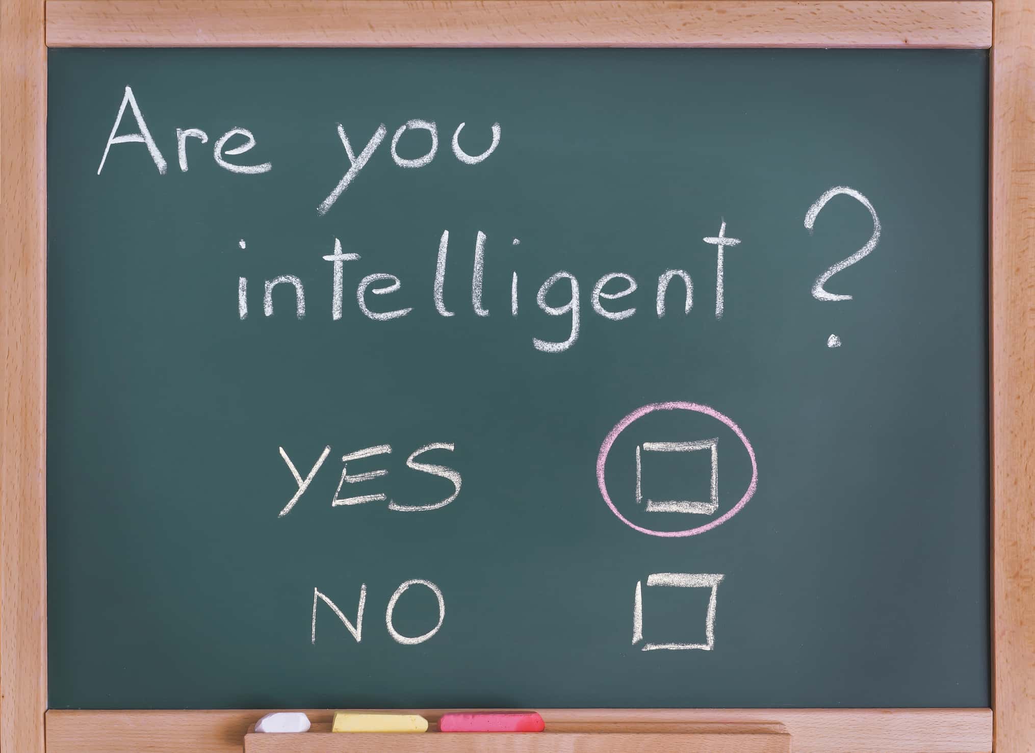 Dumbest Thing Heard facts