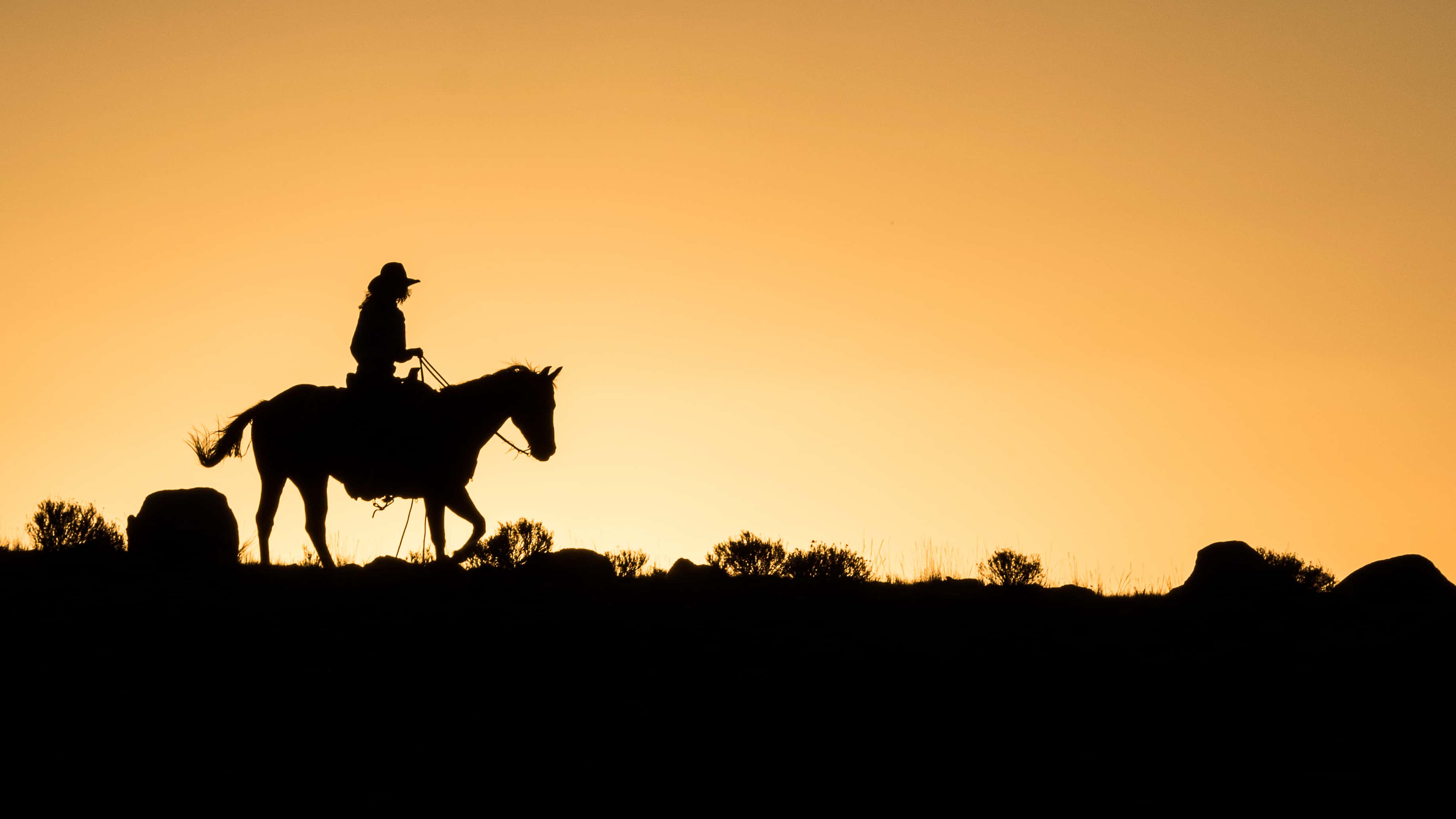 Silhouette Cowboy Riding Horse On Field Against Sky