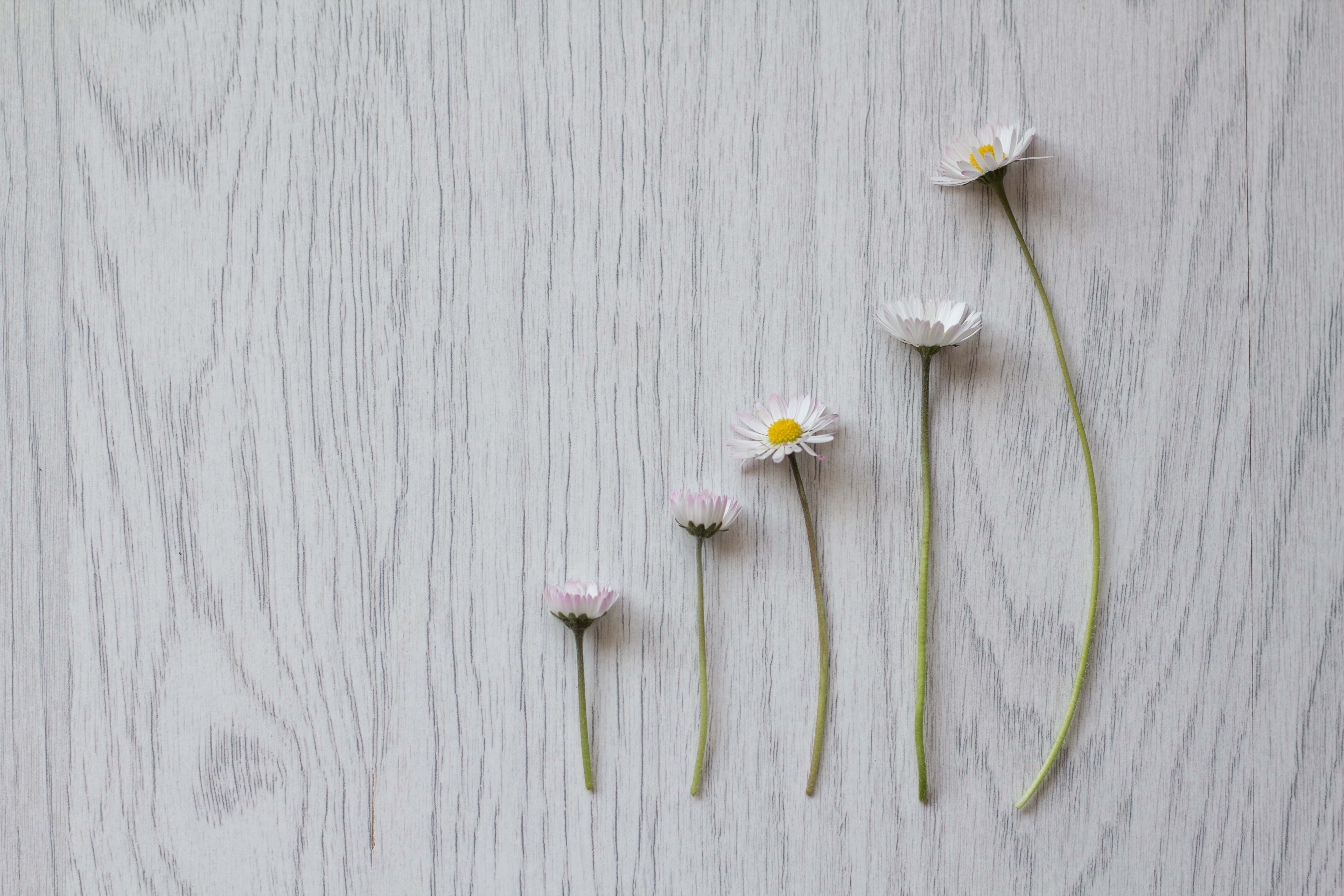 Shallowest Reason They Rejected Someone facts