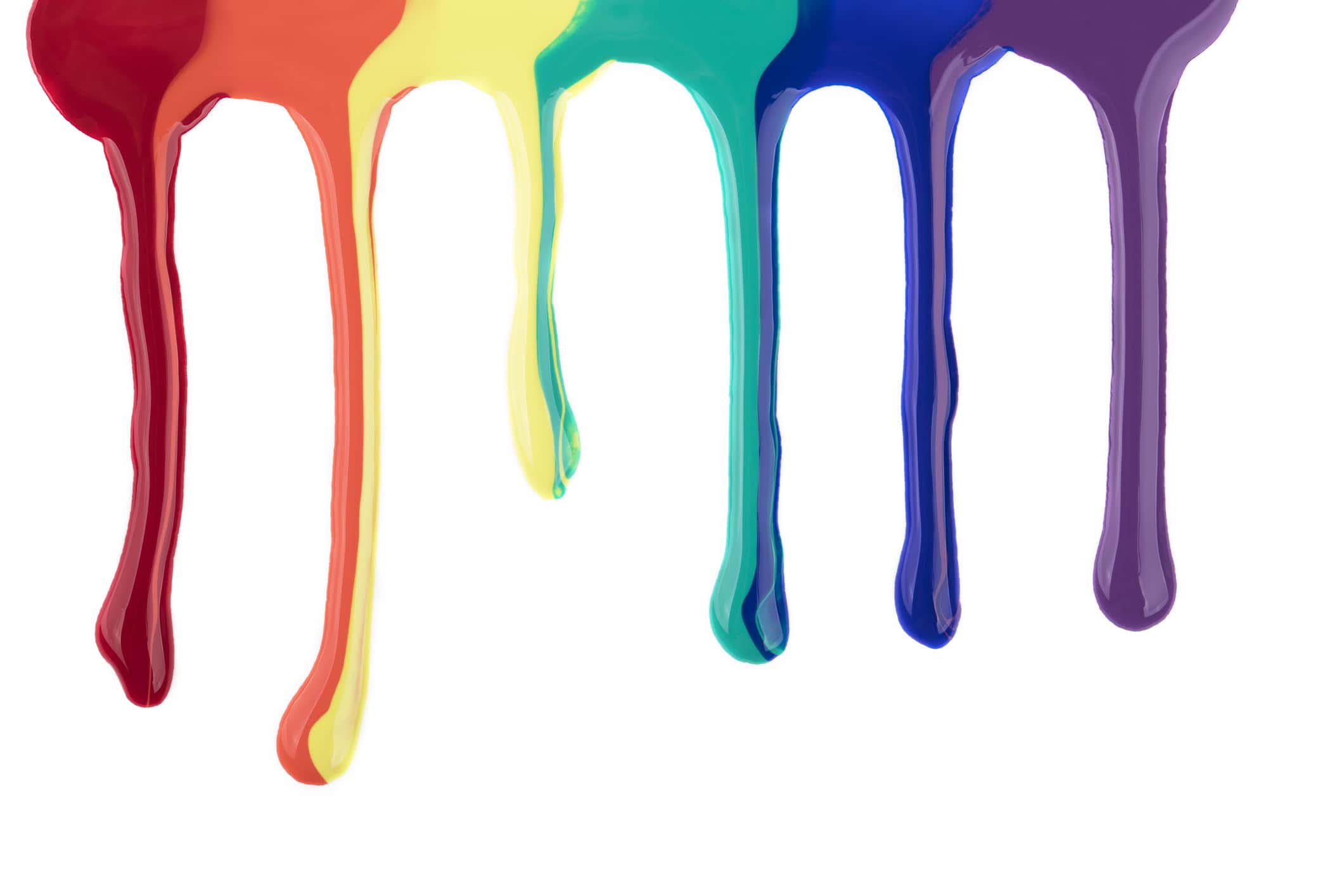 Dumbest Thing Heard facts