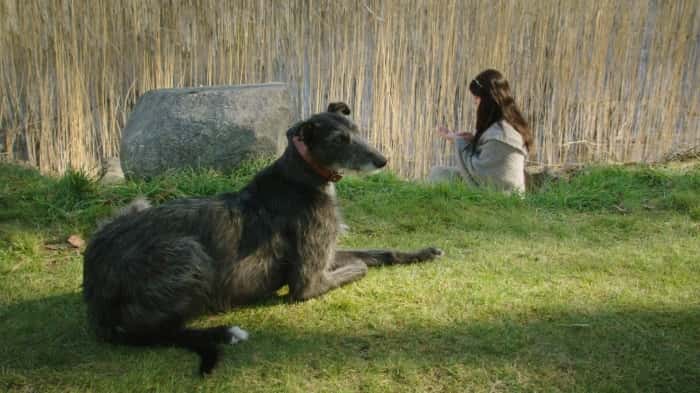 Mary, Queen of Scots facts