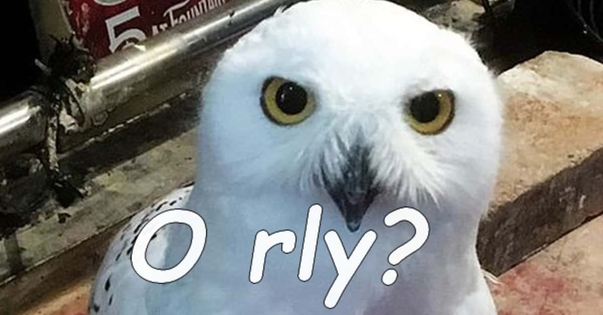 Salvador Dali, The Supreme Surrealist Facts