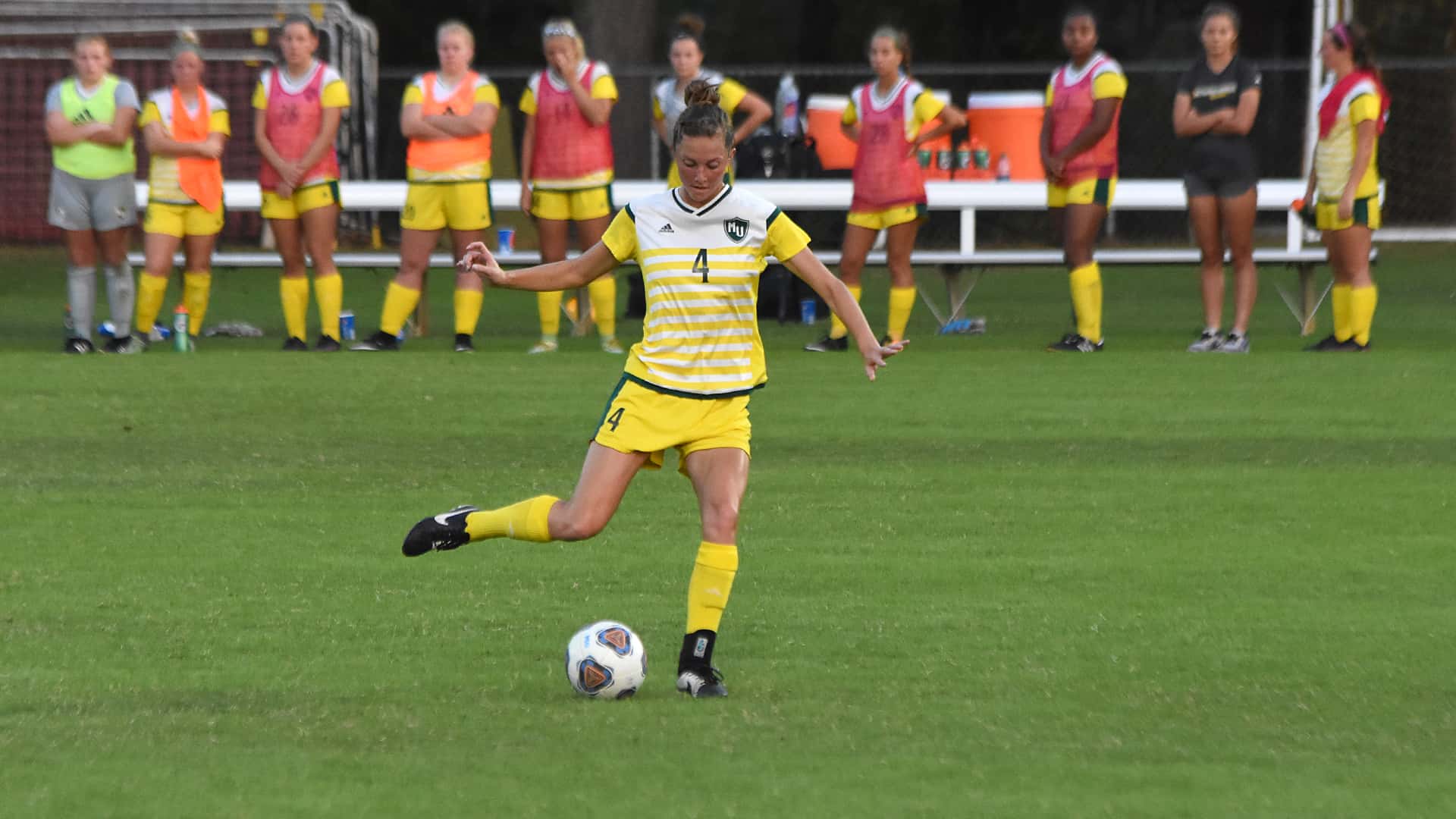 Experiences That Truly Moved facts 