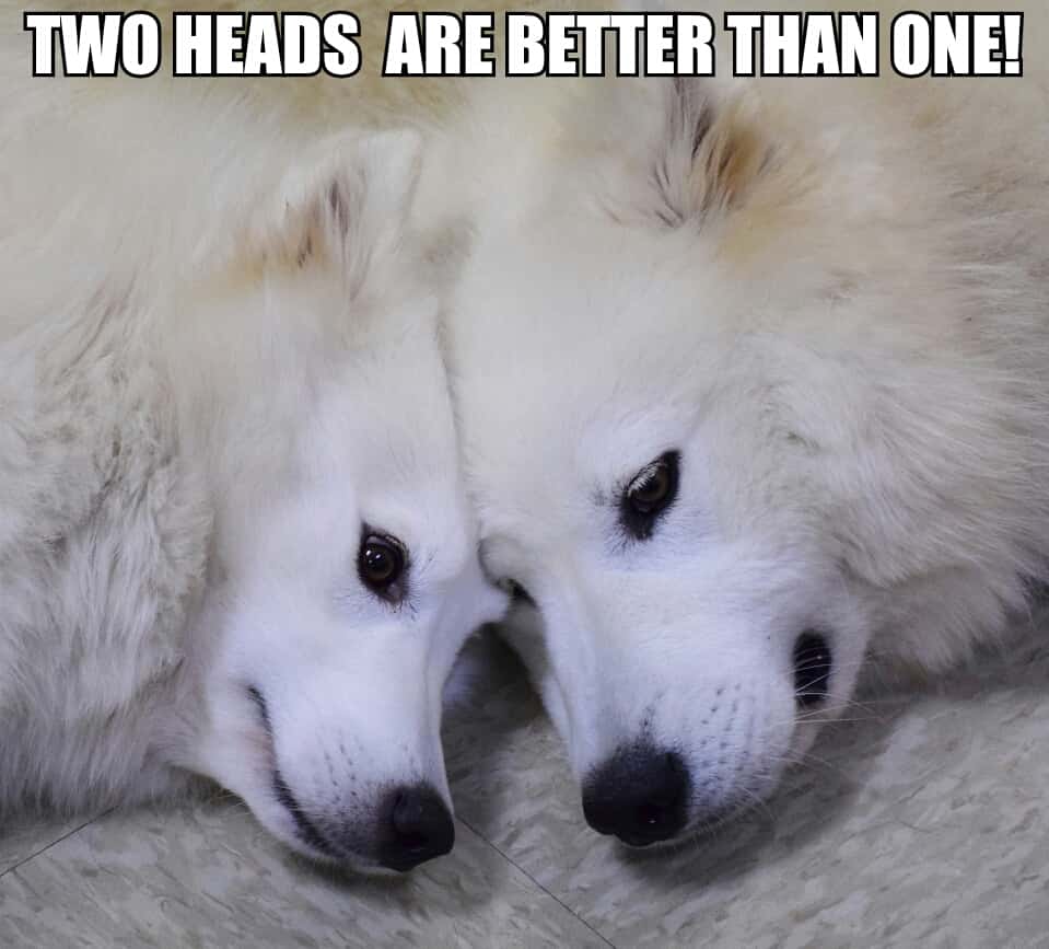 80s Action Films facts 