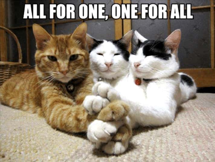 Sir Francis Drake facts