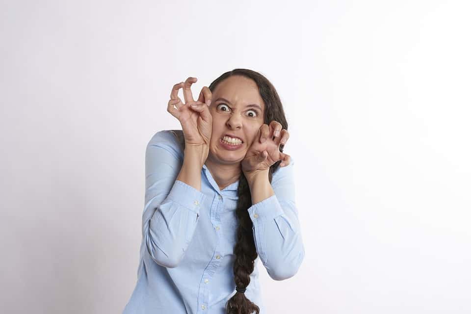 The Halloween Franchise Facts