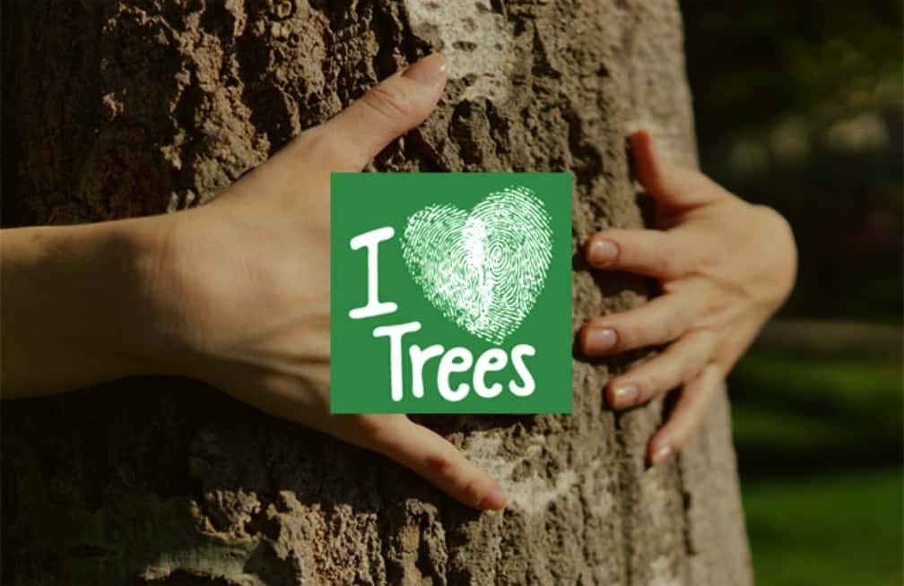 Persian Emperors Facts